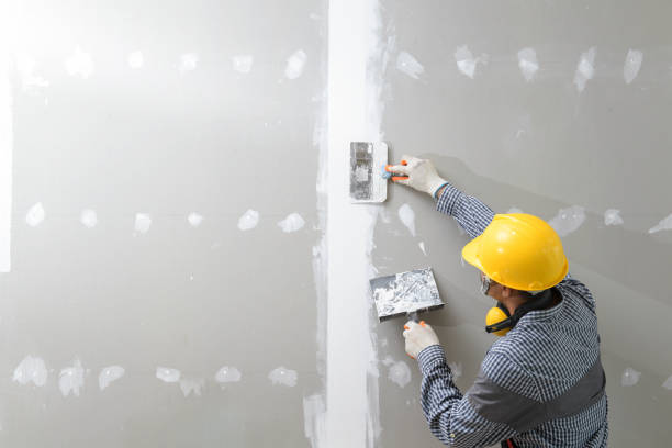 Best Basement Mold Removal  in Ladysmith, WI